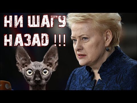 Как Литва Россию наказала