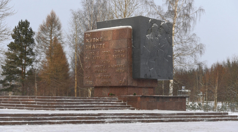 Захарова и Клинцевич отреагировали на решение Германии выделить блокадникам 12 млн евро