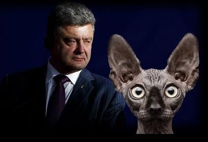 вНа Украине музыка играет, а он один стоит на берегу - песня! / Кот Костян | Приколы про Вальцмана. Политическая сатира