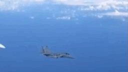 Российский Су-27 шуганул истребитель НАТО от правительственного самолета