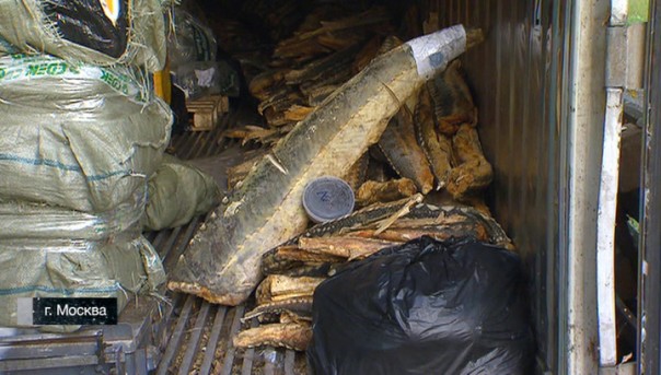 Расследование Эдуарда Петрова. Икорное подполье