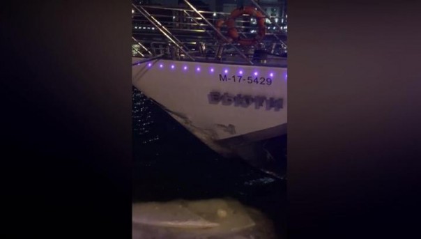 Теплоход врезался в причал на Москва реке