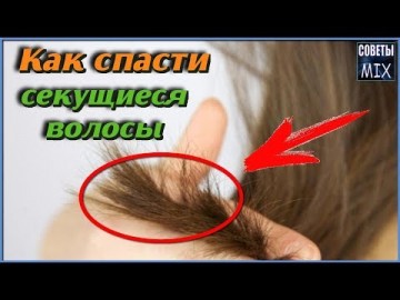 Что делать если секутся волосы? Эффективная маска для волос. Как восстановить кончики волос