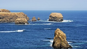 МИД назвал ключевое условие для заключения мирного договора с Японией