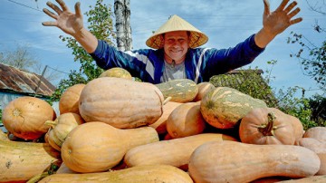 Комитет Думы поддержал отмену карточек продавца для продаж на рынке