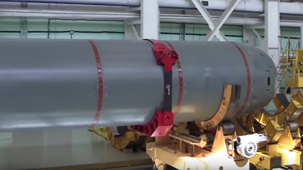 Business Insider назвал "истинную цель" российских торпед "Судного дня"