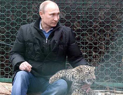 Котёнок, которого убил Путин