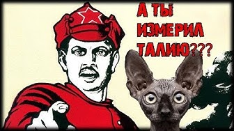 Россияне! Измеряйте талию перед сном!!!