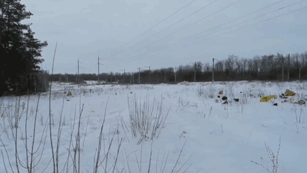Под Липецком обнаружили кладбище недоставленных посылок — видео