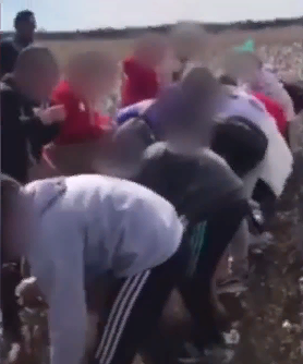 В США темнокожих школьников заставили собирать хлопок под "песни рабов"