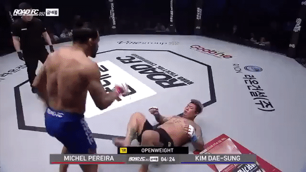 Сальто и вертушки. Боец ММА нокаутировал соперника приёмами из рестлинга