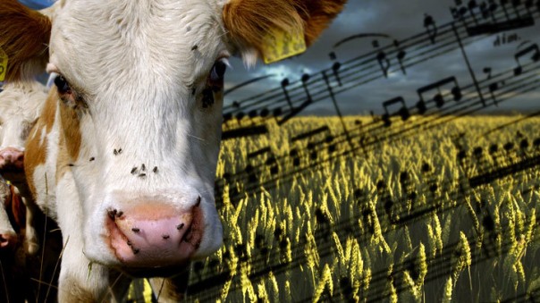 Песни о главном: «Аграрные лобби», Дворкович и передел АПК России