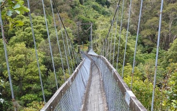 В Китае рухнул канатный мост с туристами