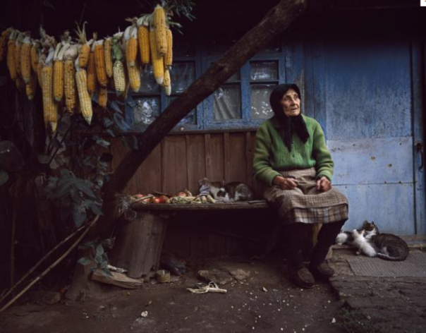 Украина вымирает: в Госстате обнародовали шокирующие данные