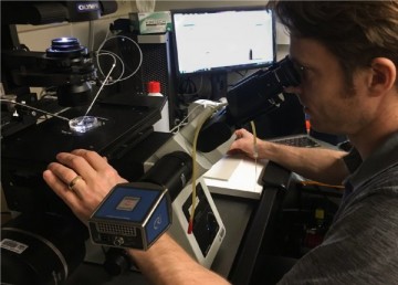 Учёный повторяет китайские опыты по созданию ГМО-детей