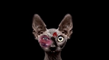 Русофобы, сымайте маски!