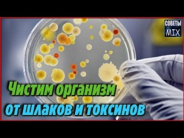 Список продуктов, которые легко помогут очистить организм от шлаков и токсинов. Советы для здоровья