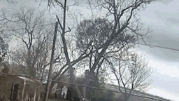 Появилось видео падения грузового самолета в США