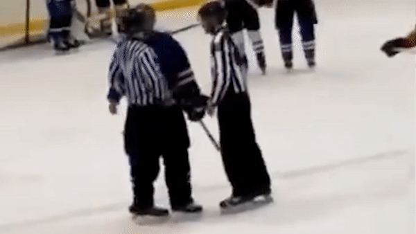 В нокдаун. Как нужно объяснять судье, что он не прав. Инструкция из Канады