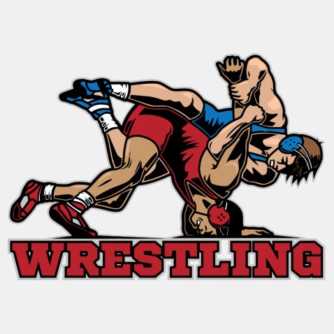 Стильная одежда Вольная борьба