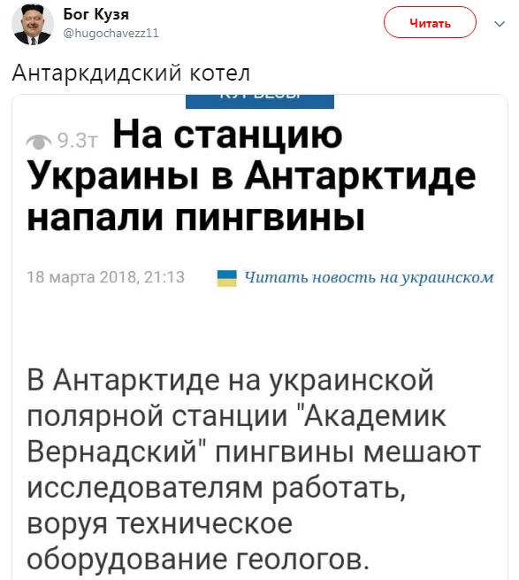 "Опять котёл". Пингвины Антарктиды для киевского ЦИК оказались приоритетнее украинцев России