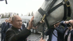 Путин покормил подаренного ему скакуна и успокоил щенка Шерхана — видео