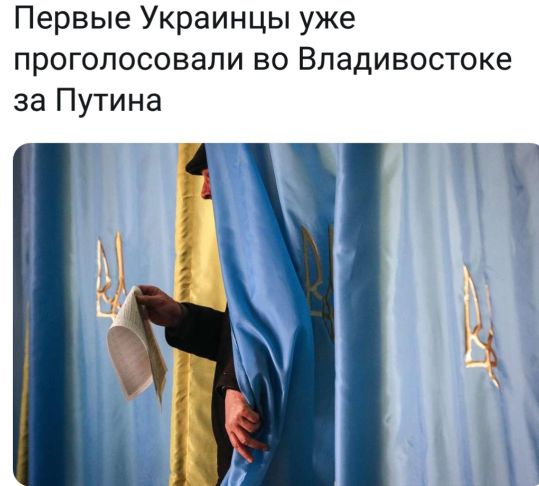 Боевые тараканы или почему Путин всегда в голове у украинцев