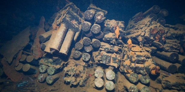 В Германии предложили чистить дно Балтики от взрывчатки при помощи бактерий