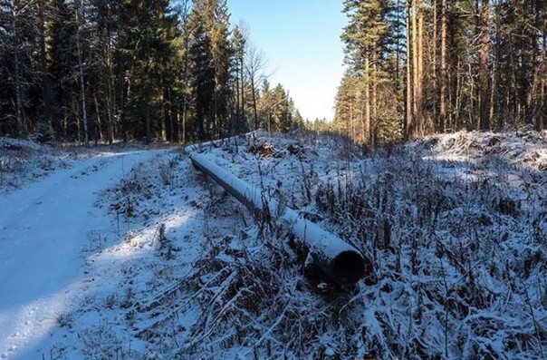 "Газпром": кража 700 млн рублей при строительстве газопровода в Ленобласти - полный аут. Запись устроенного менеджерам «Газпрома» разноса