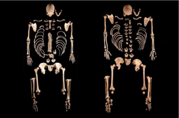 Выходцы из России полностью заместили древних испанцев