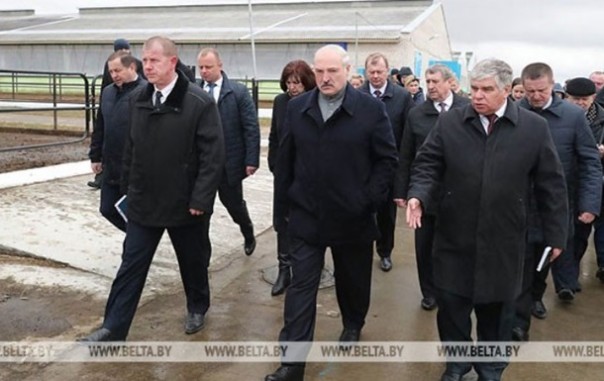 "Это же Освенцим": Лукашенко уволил губернатора после посещения коровника