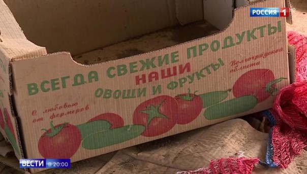 На подпольной ферме в Волгоградской области выращивали овощи-мутанты