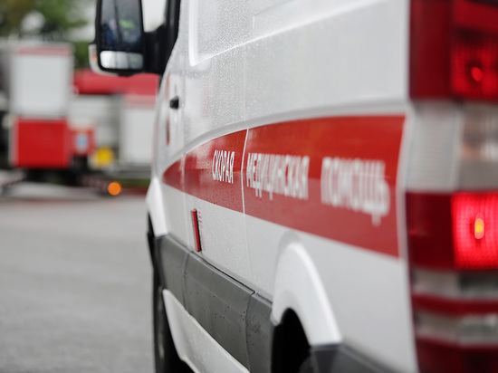 В Москве таинственно погибла 10-летняя дочь сотрудника фонда Навального