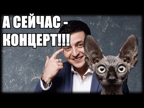 Здрасьте, он ваша тётя. Кот Костян