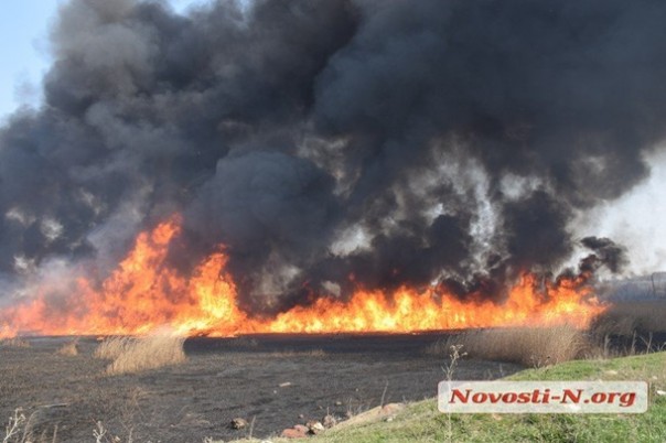 В Николаеве вспыхнул масштабный пожар