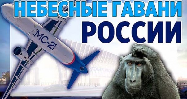 Небесные гавани России. Самые крупные аэропорты России. Развитие аэропортов России