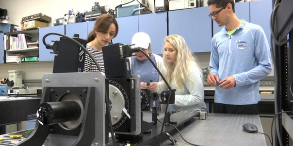 Чтобы помочь лётчикам, студенты создали виртуальную реальность для пчёл