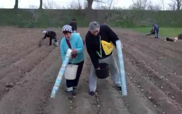 Нанотехнології по-украински для посадки картошки