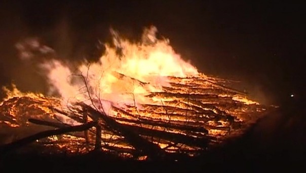Крупный пожар на территории парка "Лосиный остров" этой ночью тушили спасатели
