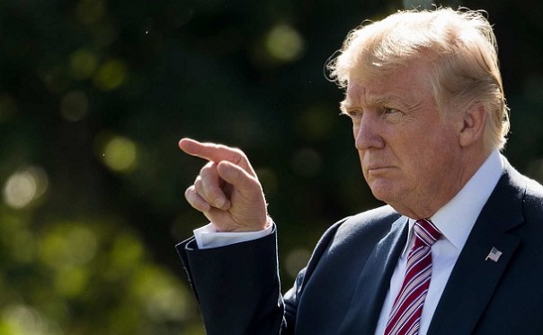 Мнения знаменитостей о Дональде Трампе: «полный неудачник» или «мудрый собеседник»?