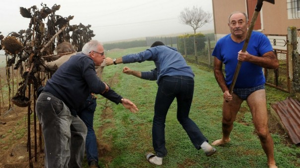 Дачники взбунтовались против налогов и штрафов за теплицы