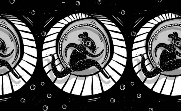 Крысы бегут с корабля: функционеры киевского режима готовятся бежать за границу