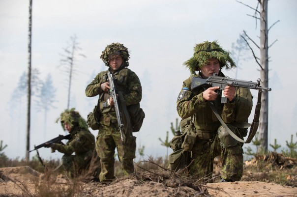 США не верят в российскую оппозицию, но уповают на эстонских партизан