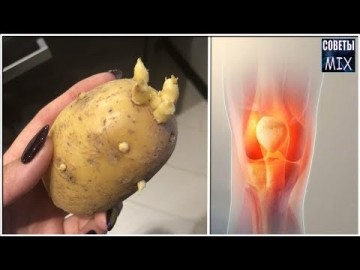 Суставы как в молодости. Народное средство творит чудеса. Ростки картофеля для восстановления суставов