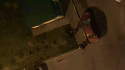 На севере Москвы произошла драка со стрельбой — видео