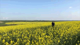 Невъездной на Украину актёр Мерзликин пересёк "границу"