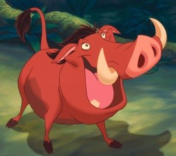 Спасение года: бородавочник убежал от 7 голодных львиц