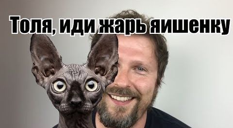 Шарий. Моё почтение. И новые кеды для переобувки. Кот Костян