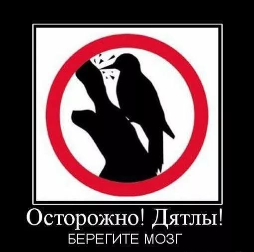 Победятлы. Роман Носиков о холуях, что запрещают нам праздновать День Победы