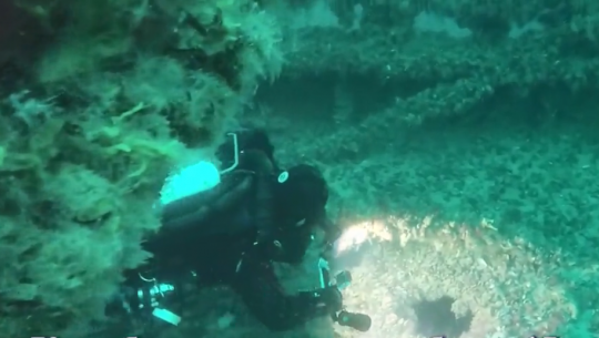 Видео подъема картин Айвазовского с затонувшего 100 лет назад парохода